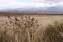 04_Great Sand Dunes National Park_1